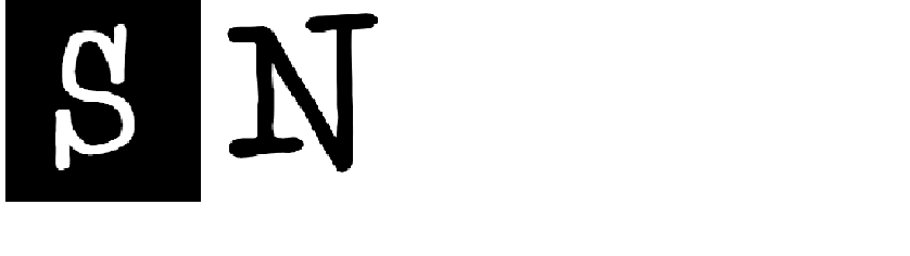 SN Affiliate